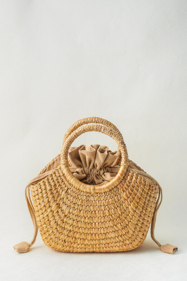 Ivy - Image 3